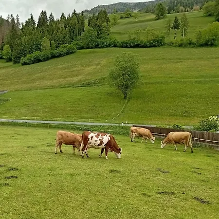 Breakfast With Mountains View