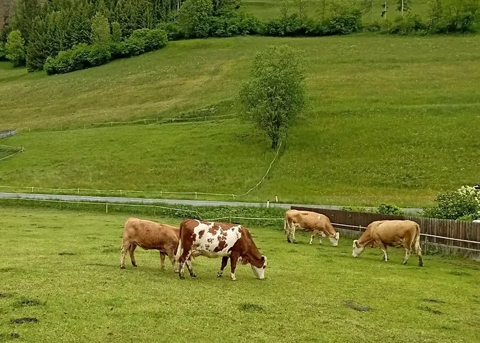 Breakfast With Mountains View